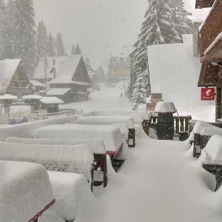 فندق مبيت وإفطار Pansion Vlasic