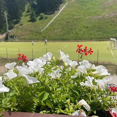 فندق مبيت وإفطار Pansion Vlasic Sisava