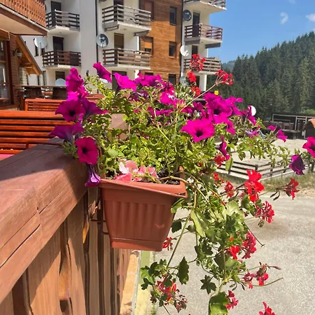 فندق مبيت وإفطار Pansion Vlasic *