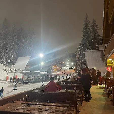 فندق مبيت وإفطار Pansion Vlasic Sisava