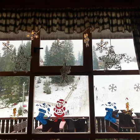 Pansion Vlasic Sisava