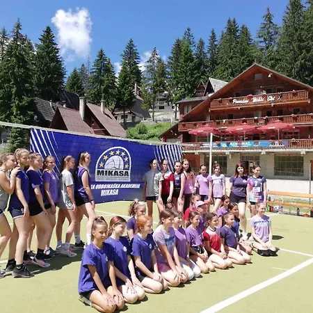 Pansion Vlasic * Sisava