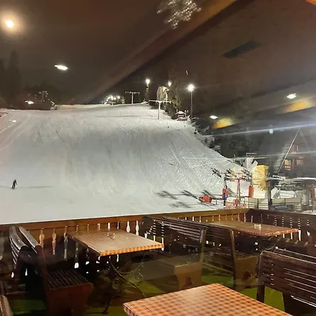 فندق مبيت وإفطار Pansion Vlasic Sisava